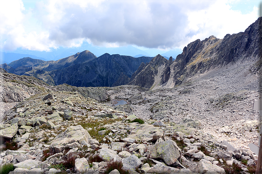 foto Cima D'Asta